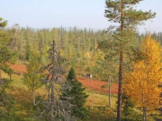 Дома для отпуска Holiday Home Rukassos a Рука-23